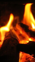 Fototapeta premium Close Up Bonfire Burning Logs