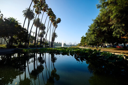 City Park in Los Angeles with water and palm trees on a clear day