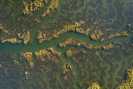 Meandering Marsh Channels