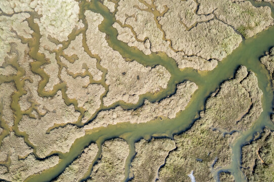 Meandering Marsh Channels