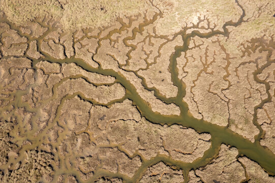 Meandering Marsh Channels