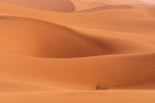 Erg Chigaga Desert Dunes