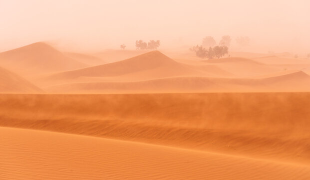 Erg Chigaga Desert Dunes