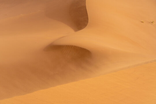 Wind Shaped Desert Dune