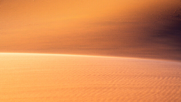 Wind Shaped Desert Dune