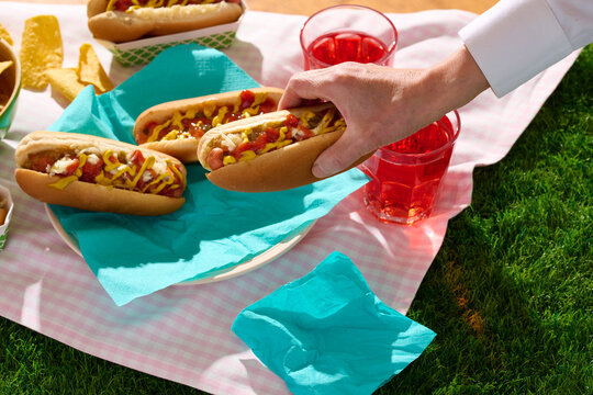 Hand Taking Hotdog at Barbecue Picnic 