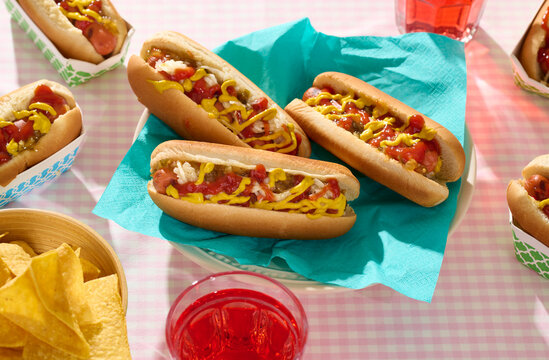 Outdoor Barbecue Hotdog Picnic 