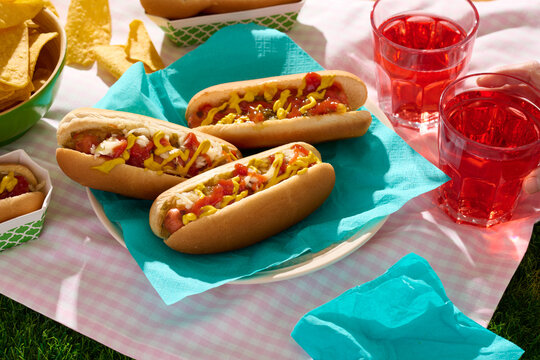 Barbecue Hotdog Picnic - Reaching for Drink 