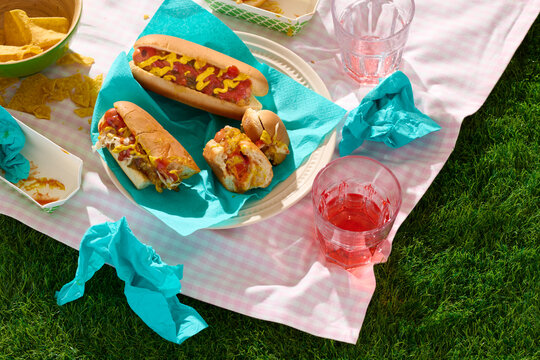 Leftover Mess From Barbecue Hotdog Picnic 