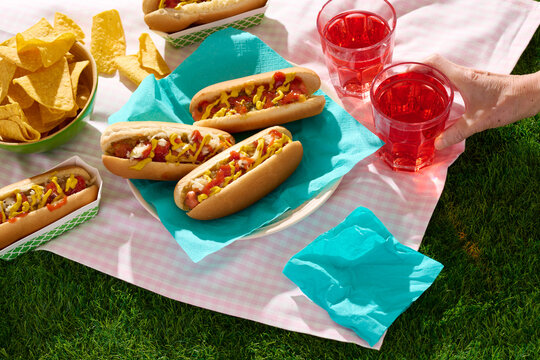 Barbecue Hotdog Picnic and Drinks 