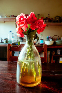 Withering Roses