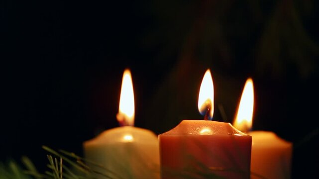 Three colorful Christmas candle flames - pink, green, yellow burning near green fir branch on wood candlestick with dried orange, cones on black background. Happy New Year celebration. No people. 