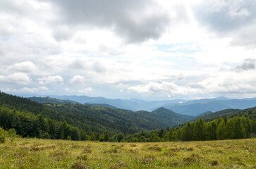 Fototapeta premium Panoramic mountain landscape featuring a wildflower meadow in the foreground, dense evergreen forest, layered blue mountain ranges and a dramatic cloudy sky. Carpathian Mountains, Ukraine