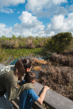 Tourist in the Everglades National Park