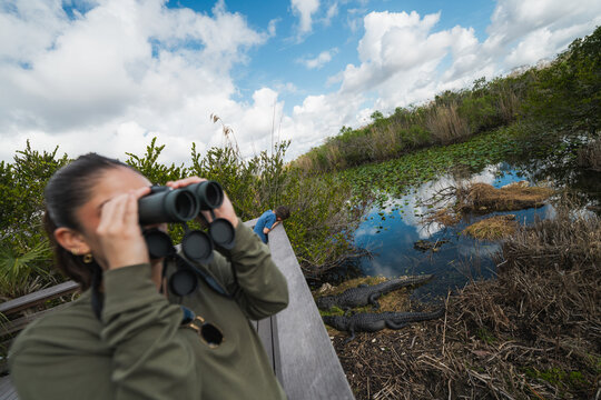 Woman birding in the Everglades National Park