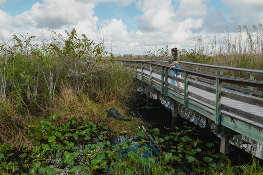 Tourism in the Everglades National Park