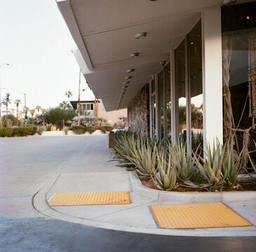 Sidewalk with aloe vera