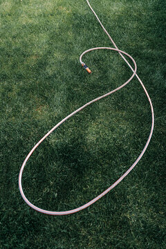 Garden hose forming abstract loop on green lawn