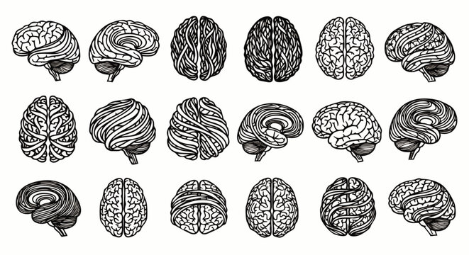 Collection of detailed anatomical illustrations of the human brain from various angles and perspectives, in black and white.