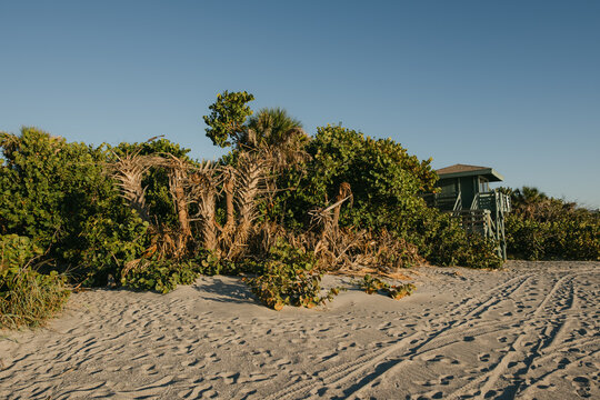 Lifeguard hut on Venice Beach Florida