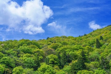 Obraz premium 新緑の山々と青空と白い雲