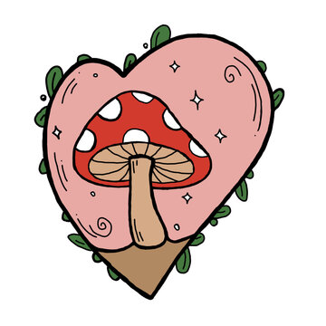 Amor por cogumelos 