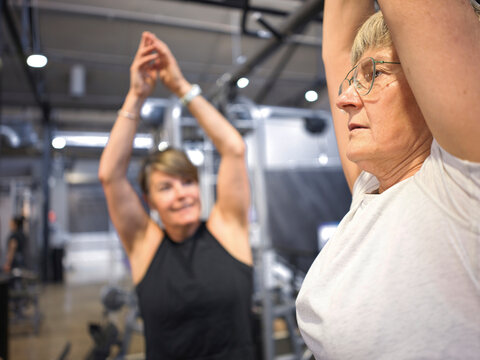 Personal trainer instructing Client as Workout Session in Gym