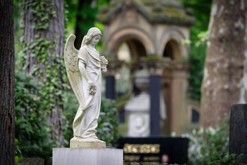 Fototapeta premium Detailed view of a white marble angel figure on a grave at Melaten Cemetery in Cologne, featuring a blurred historical mausoleum in the background
