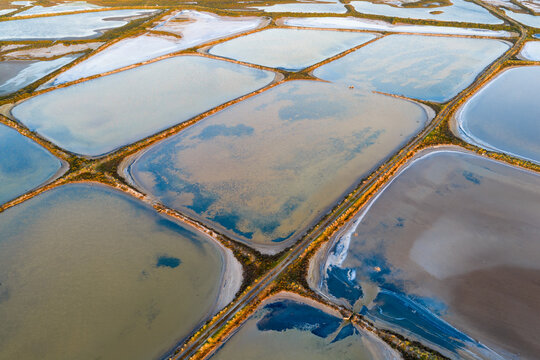 Multi colored ponds and levee bank payyerns in a coastal salt farm