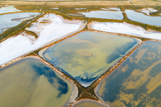 Multi colored ponds and levee bank payyerns in a coastal salt farm