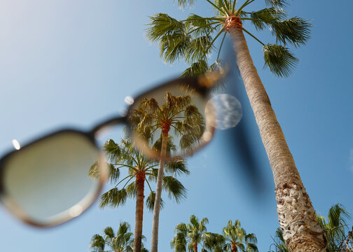Sunny Day With Palm Trees and Sunglasses in Focus