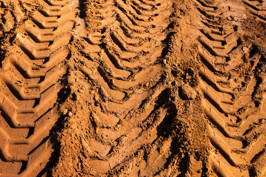Heavy Machinery Tire Tracks in Sand