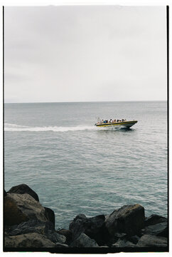 Speedboat Carrying Tourists Across Atlantic Ocean Near Madeira