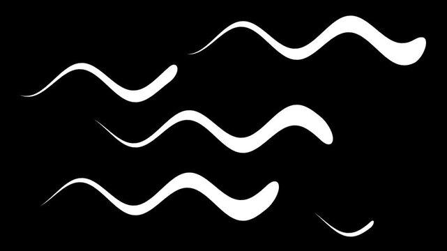 Fluid white wavy lines moving smoothly across a black background. Organic liquid motion graphic for minimalist background overlays.