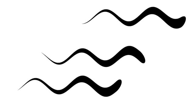 Elegant black wavy lines flowing on a white background. Minimalist liquid motion graphic ideal for professional video backgrounds.