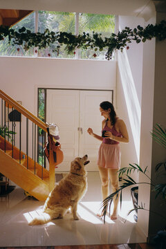 Sunny morning with golden retriever  at home 