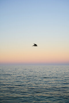Minimal Sunset Sky With Copy Space