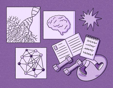 Brain activity 