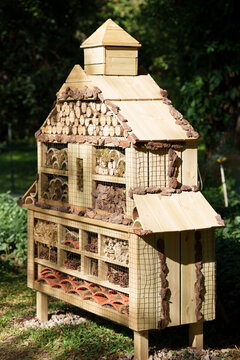 Bug Hotel in a Garden for Insects to Stay Safe and Thrive