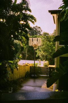 Basketball hoop on a driveway 