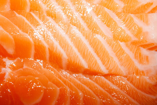 Fresh Raw Salmon Fillet. Food Close-Up