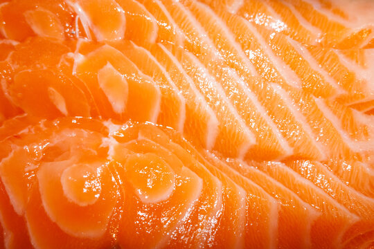Fresh Raw Salmon Fillet. Food Close-Up