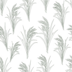 Obraz premium Seamless Pattern of Hand Drawn Rice Stalks and Grain Plants.
