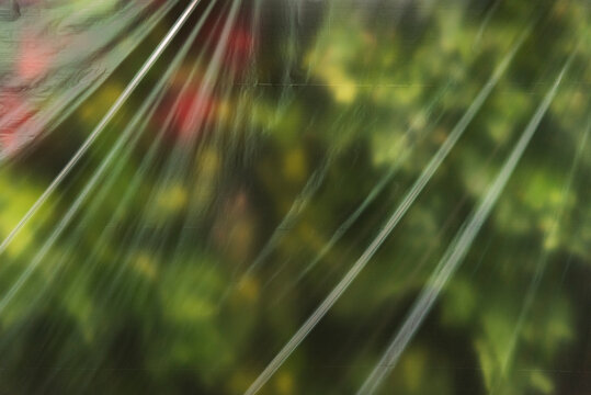 Abstract Spring Foliage Behind Plastic Film with Diagonal Line