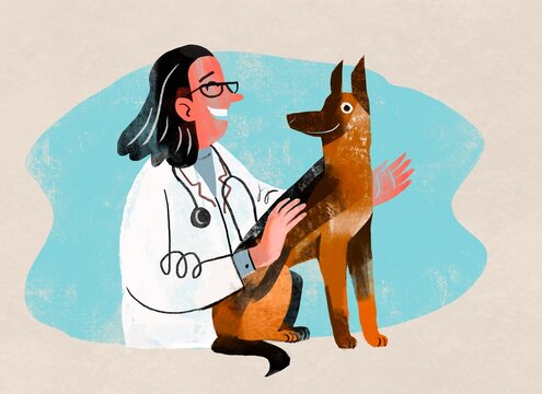 Veterinarian Caring for a Dog on Examination Table