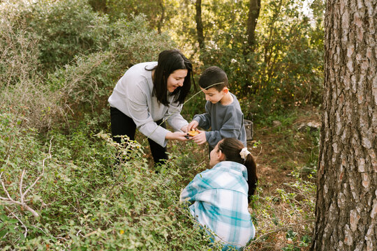 Mother And Children Discover Mushroom While Walking In Forest