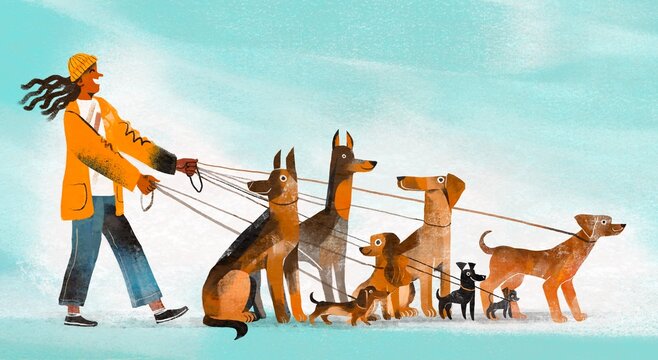  Dog Walker with Multiple Dog Breeds on Leashes