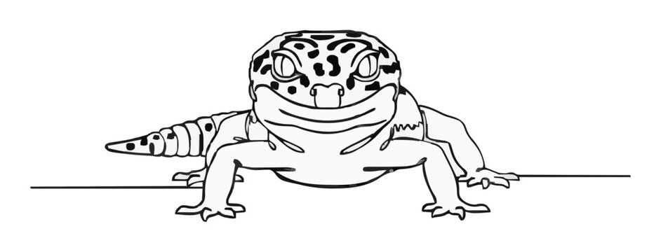 Leopard gecko front view continuous line art icon is.... Generative AI