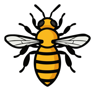 Honey bee insect top-down view vector illustration. Generative AI