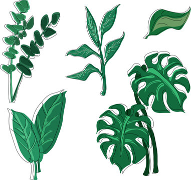 Tropical  green leaves  collection, hand draw doodle stickers of monstera and eucalyptus with offset contour 